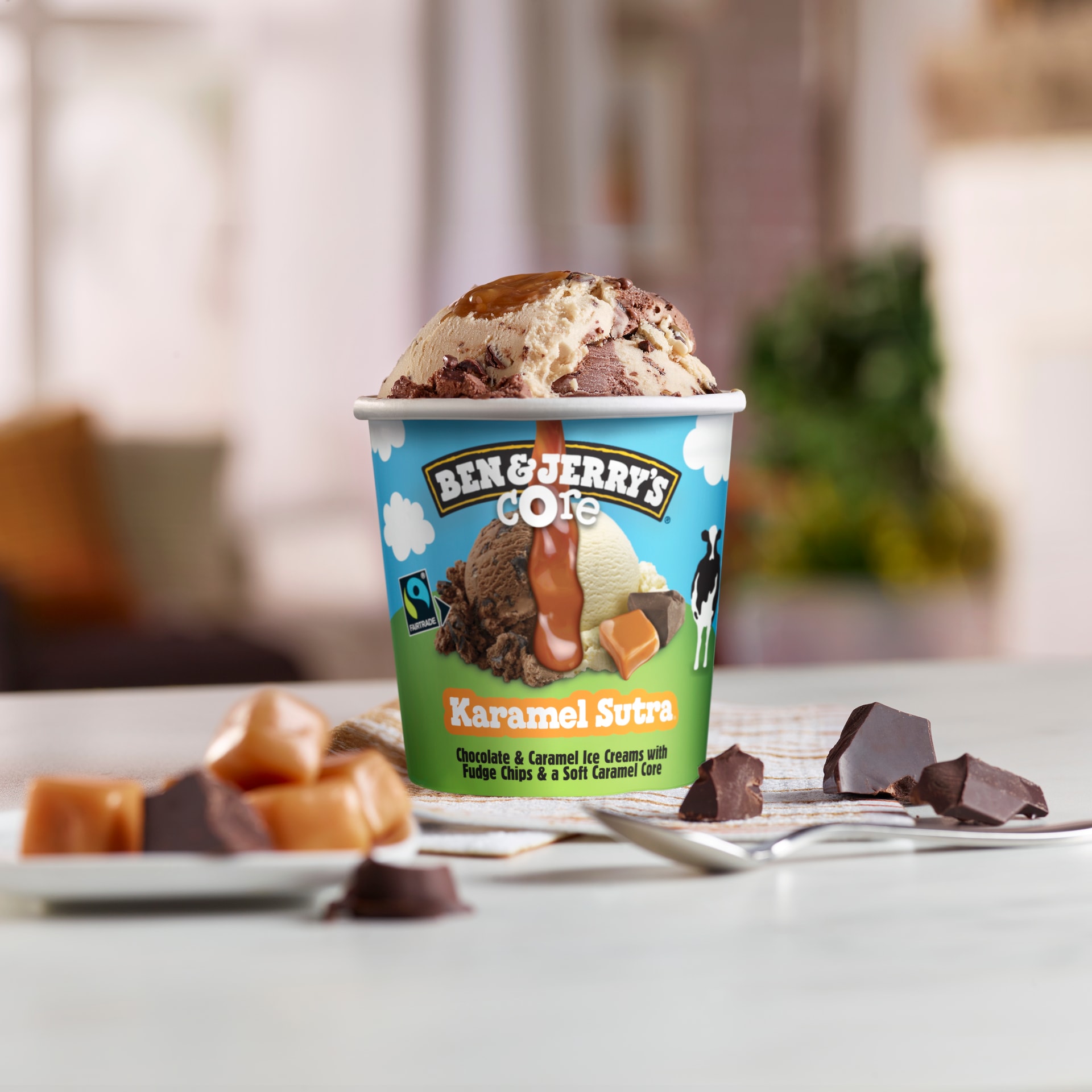 Karamel Sutra Core | Ben & Jerry's